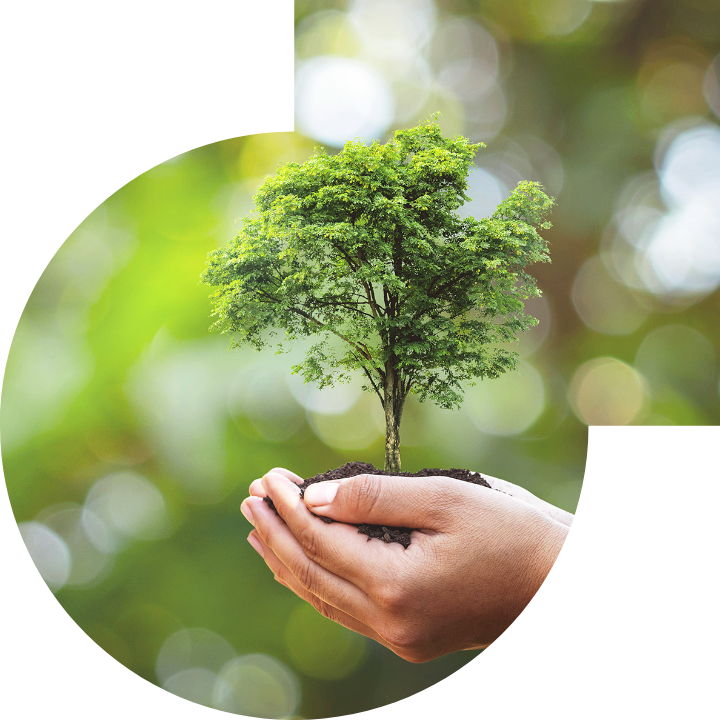 關懷人類、文化、環境與社會